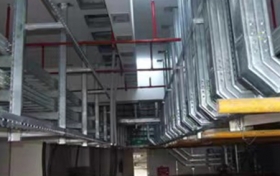 青青草视频下载